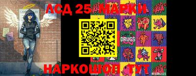 индика Усть-Джегута