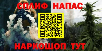индика Усть-Джегута